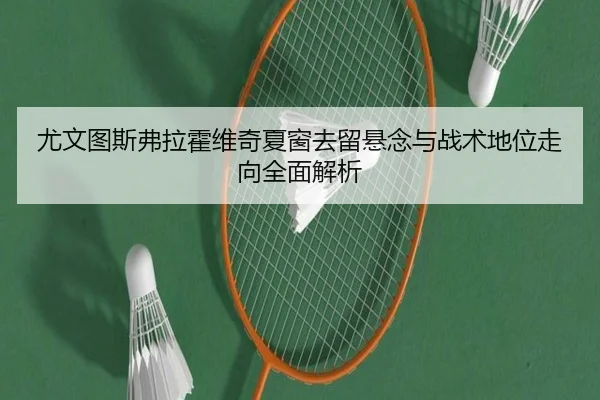 尤文图斯弗拉霍维奇夏窗去留悬念与战术地位走向全面解析